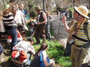 foraging group