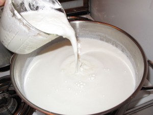 Add yogurt/milk mix to rest of milk