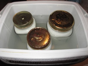 Keep jars in 50 C water for at least 3 hours