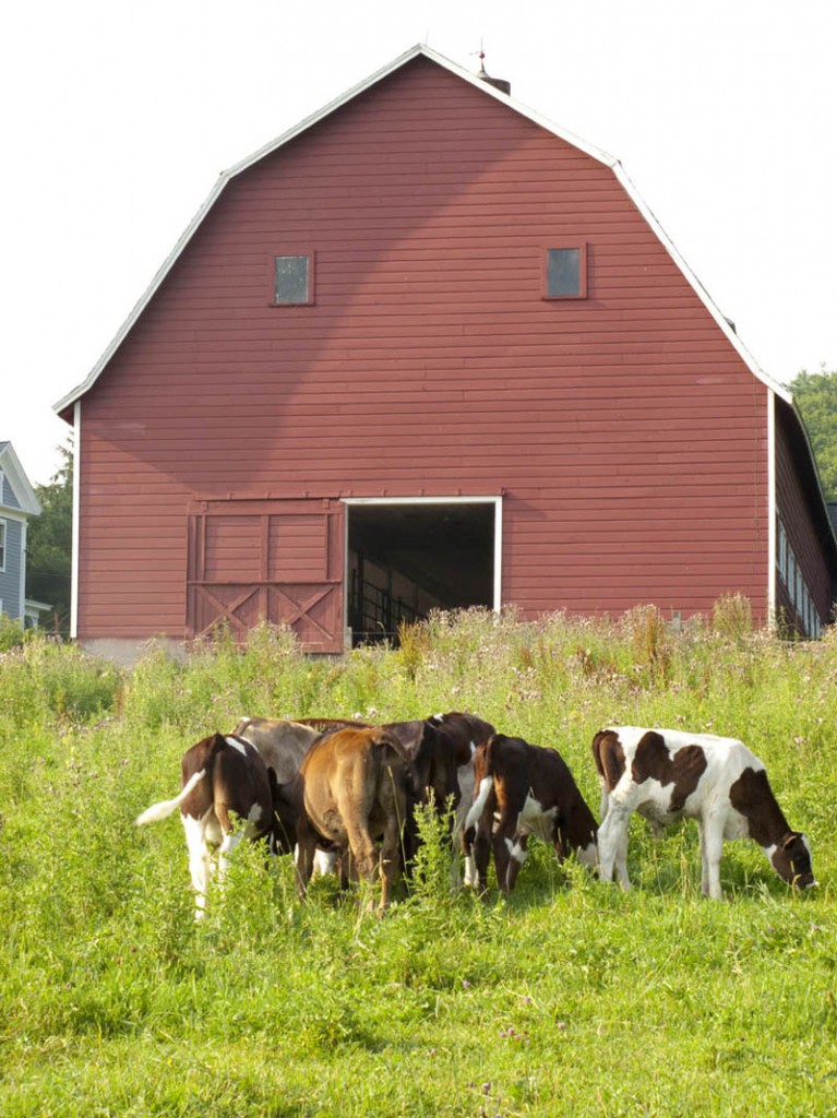 barn