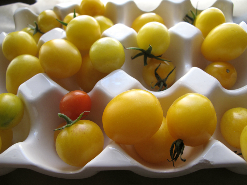 grape-tomatoes