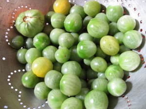 green tomatoes