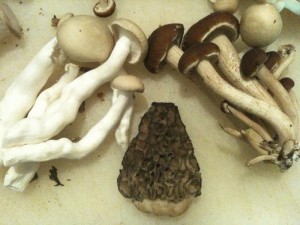 mushrooms
