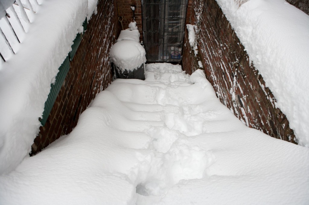 Our back steps