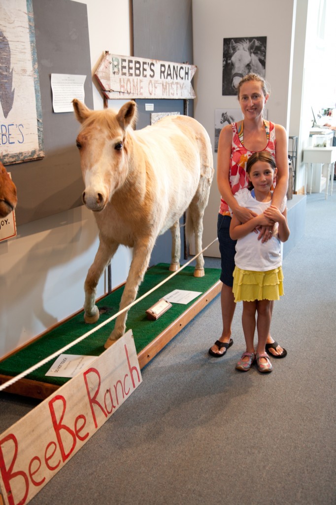chincoteague-nb_076