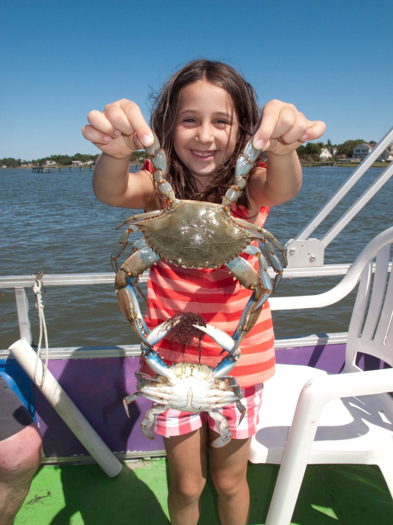 chincoteague-nb_340