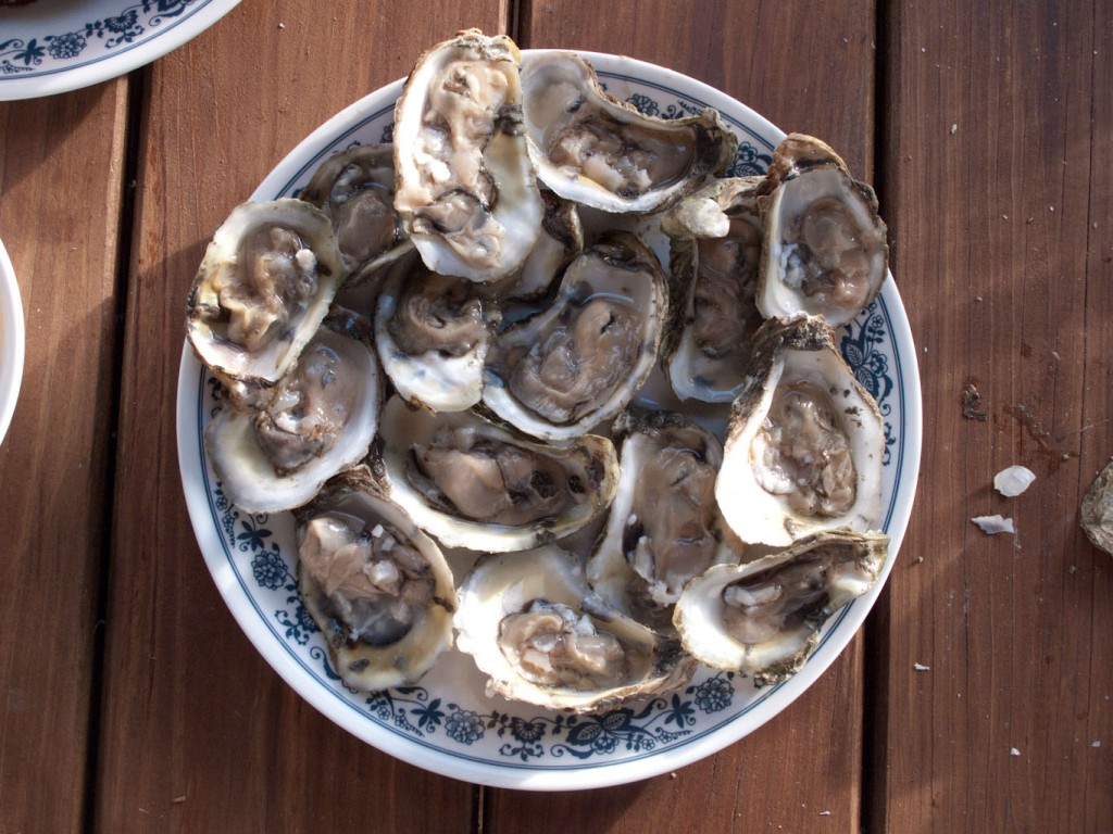 chincoteague-nb_344