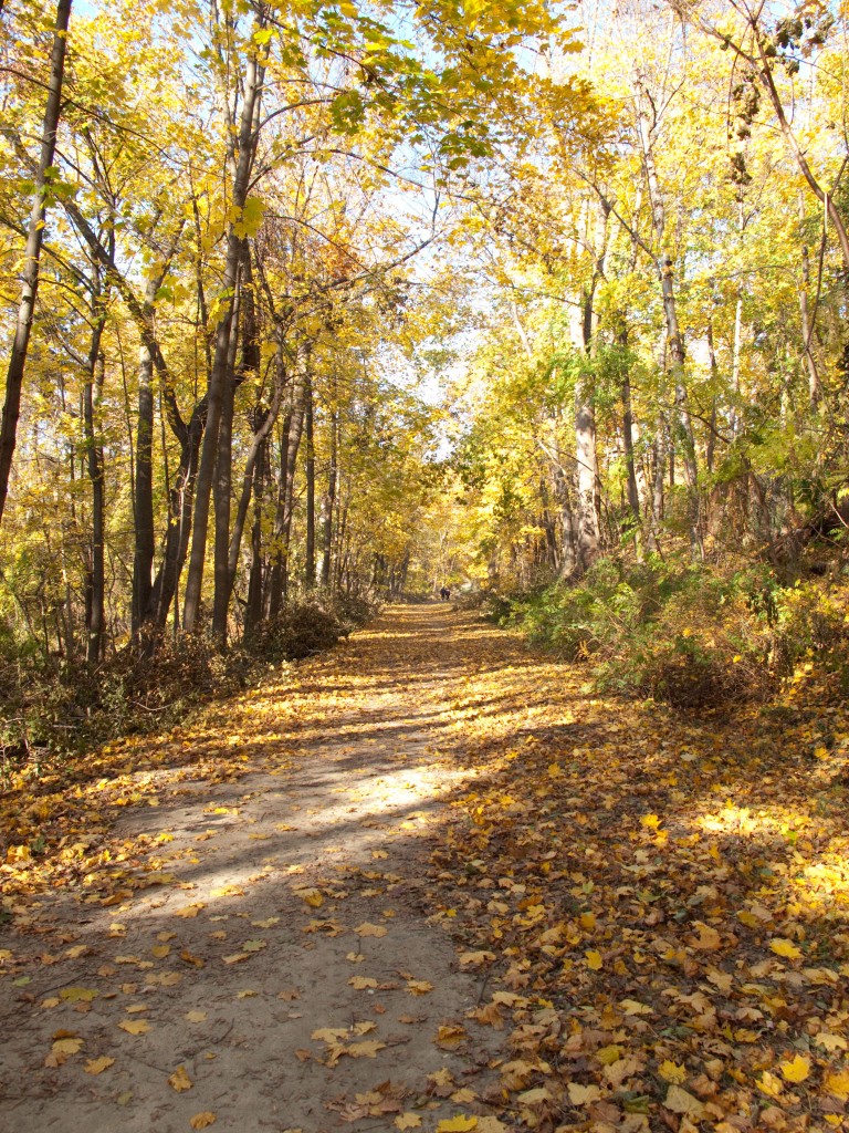 aqueduct trail01